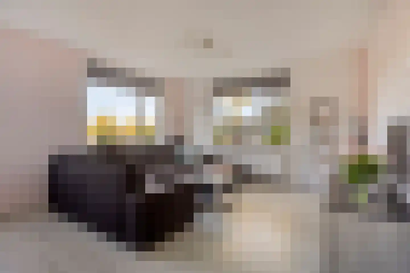 Oogstlaan 6 Oude Pekela thumbnail 13
