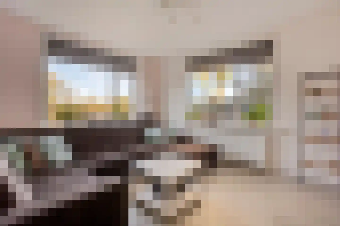 Oogstlaan 6 Oude Pekela thumbnail 14