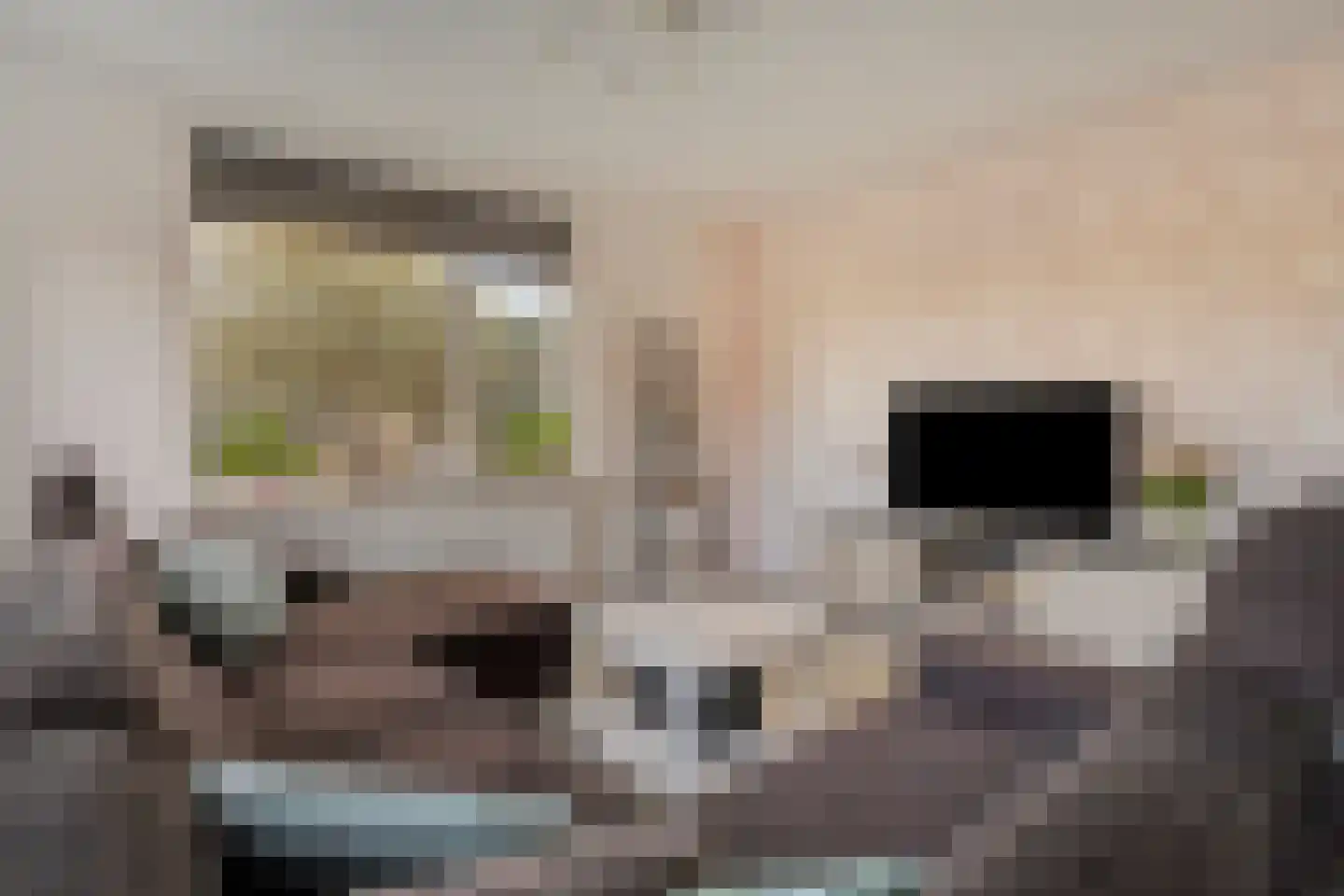 Oogstlaan 6 Oude Pekela thumbnail 15