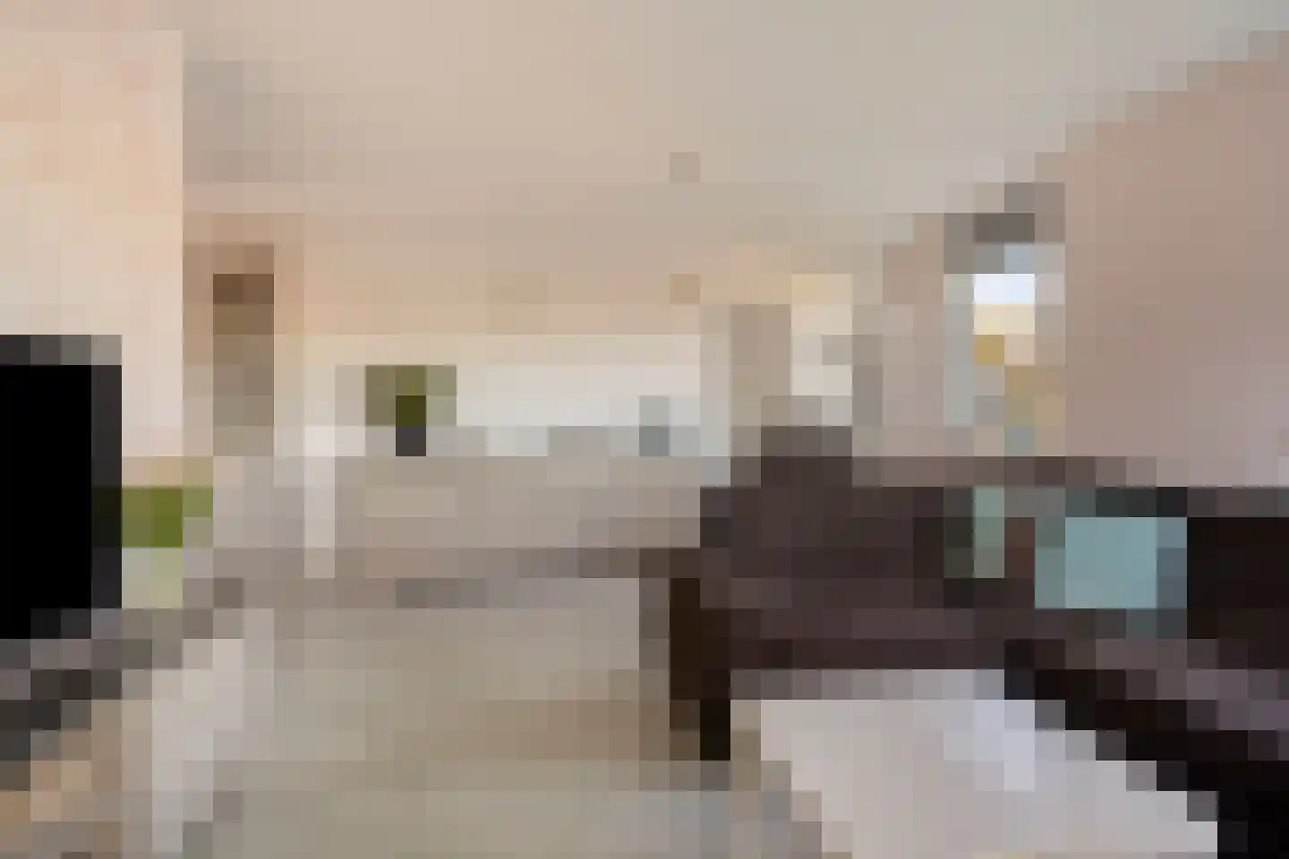 Oogstlaan 6 Oude Pekela thumbnail 17