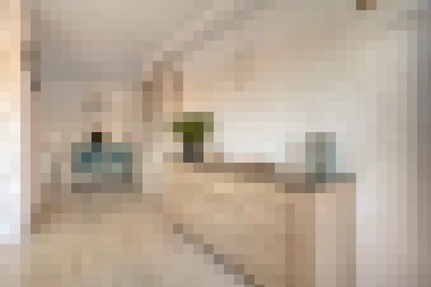 Oogstlaan 6 Oude Pekela thumbnail 18