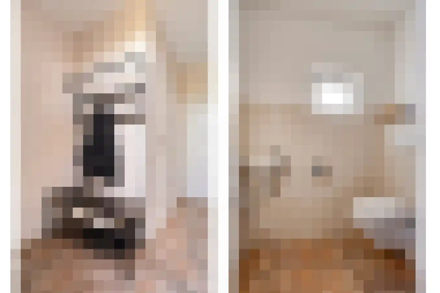 Oogstlaan 6 Oude Pekela thumbnail 30