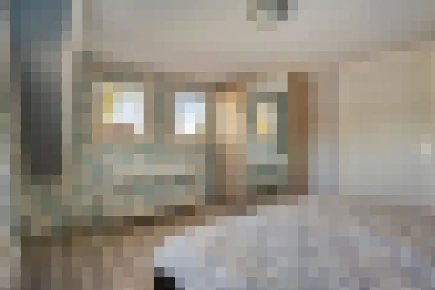 Oogstlaan 6 Oude Pekela thumbnail 35