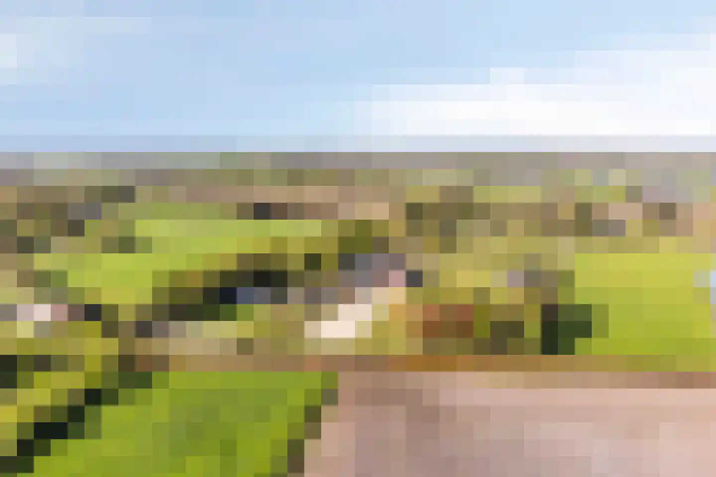 Oogstlaan 6 Oude Pekela thumbnail 4