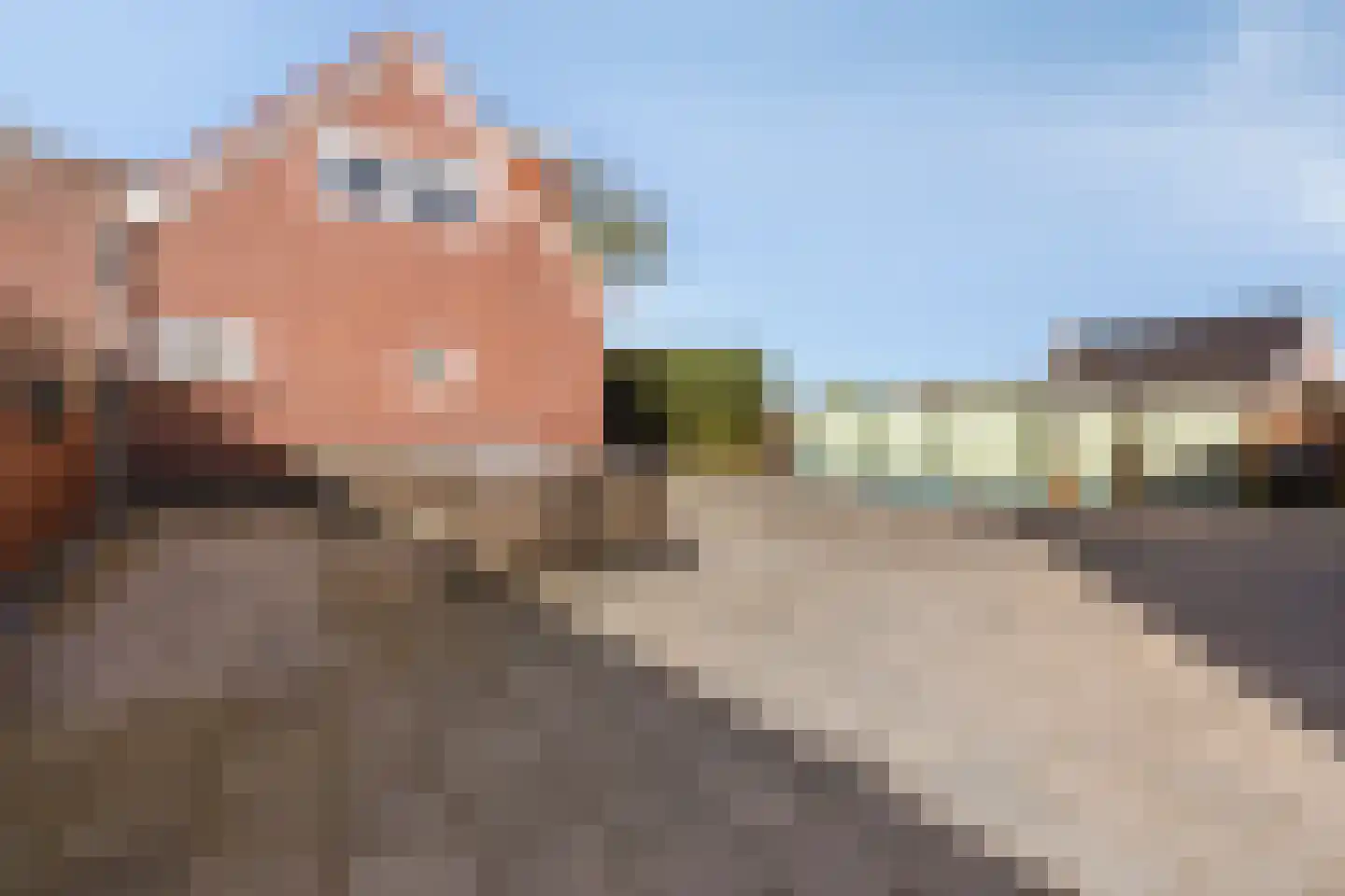Oogstlaan 6 Oude Pekela thumbnail 40