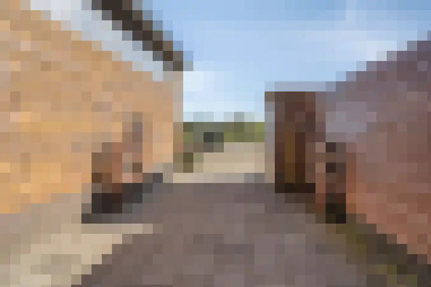 Oogstlaan 6 Oude Pekela thumbnail 41