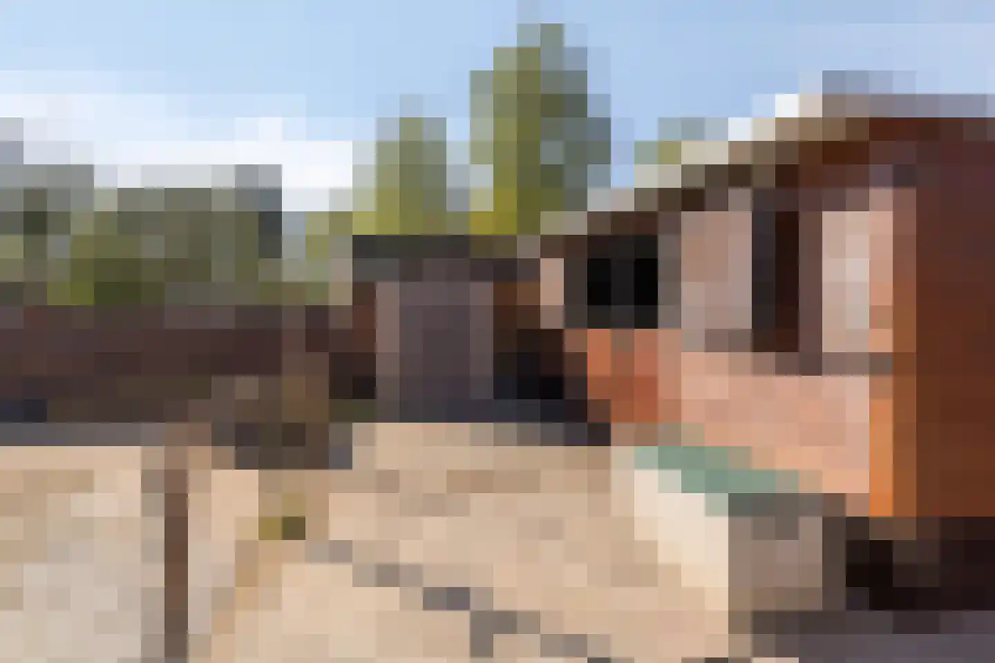 Oogstlaan 6 Oude Pekela thumbnail 43