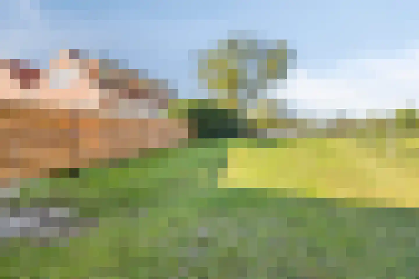 Oogstlaan 6 Oude Pekela thumbnail 45