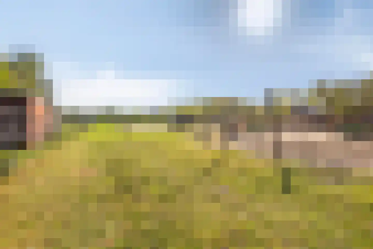 Oogstlaan 6 Oude Pekela thumbnail 46