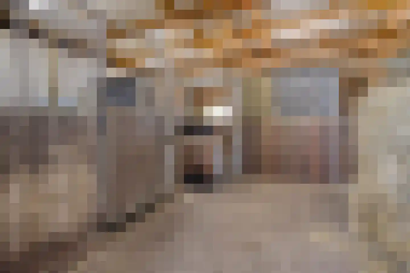 Oogstlaan 6 Oude Pekela thumbnail 53