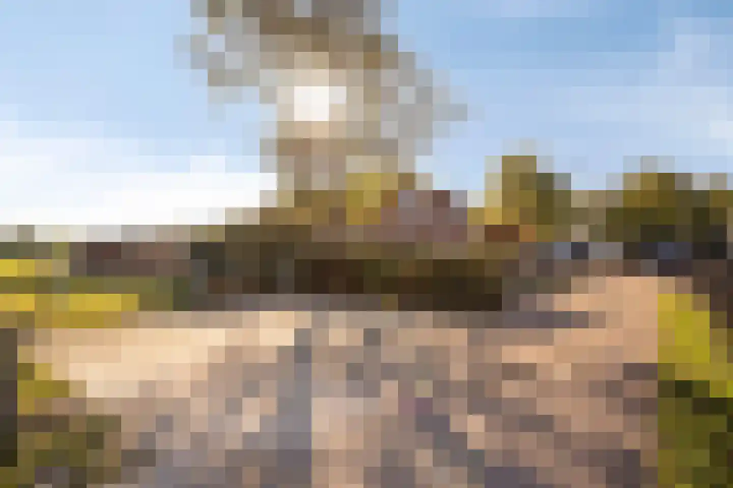 Oogstlaan 6 Oude Pekela thumbnail 57