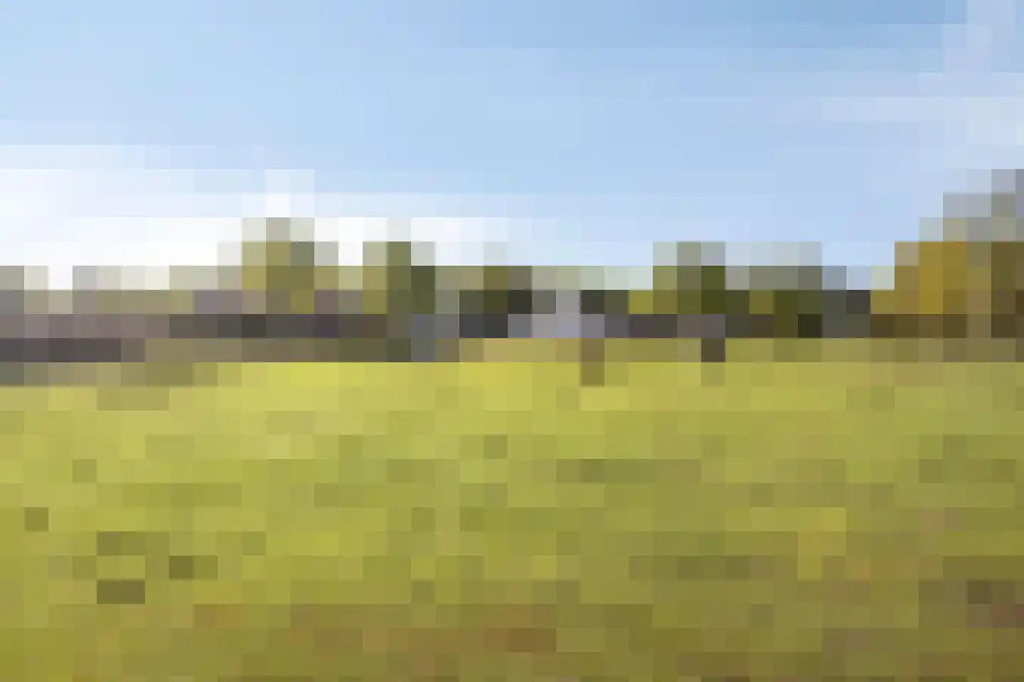 Oogstlaan 6 Oude Pekela thumbnail 58