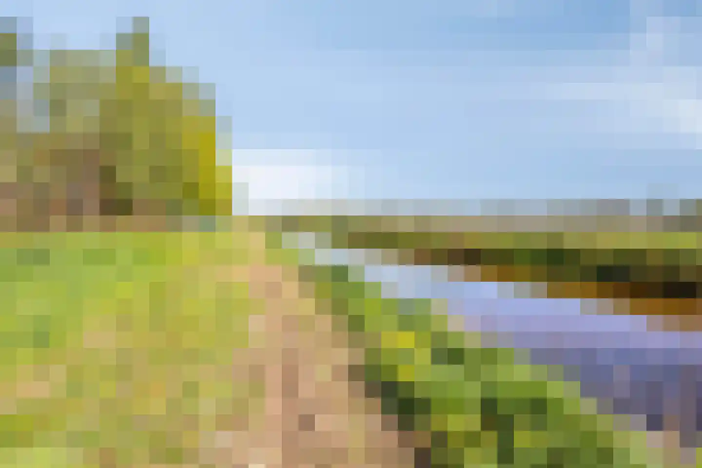 Oogstlaan 6 Oude Pekela thumbnail 60
