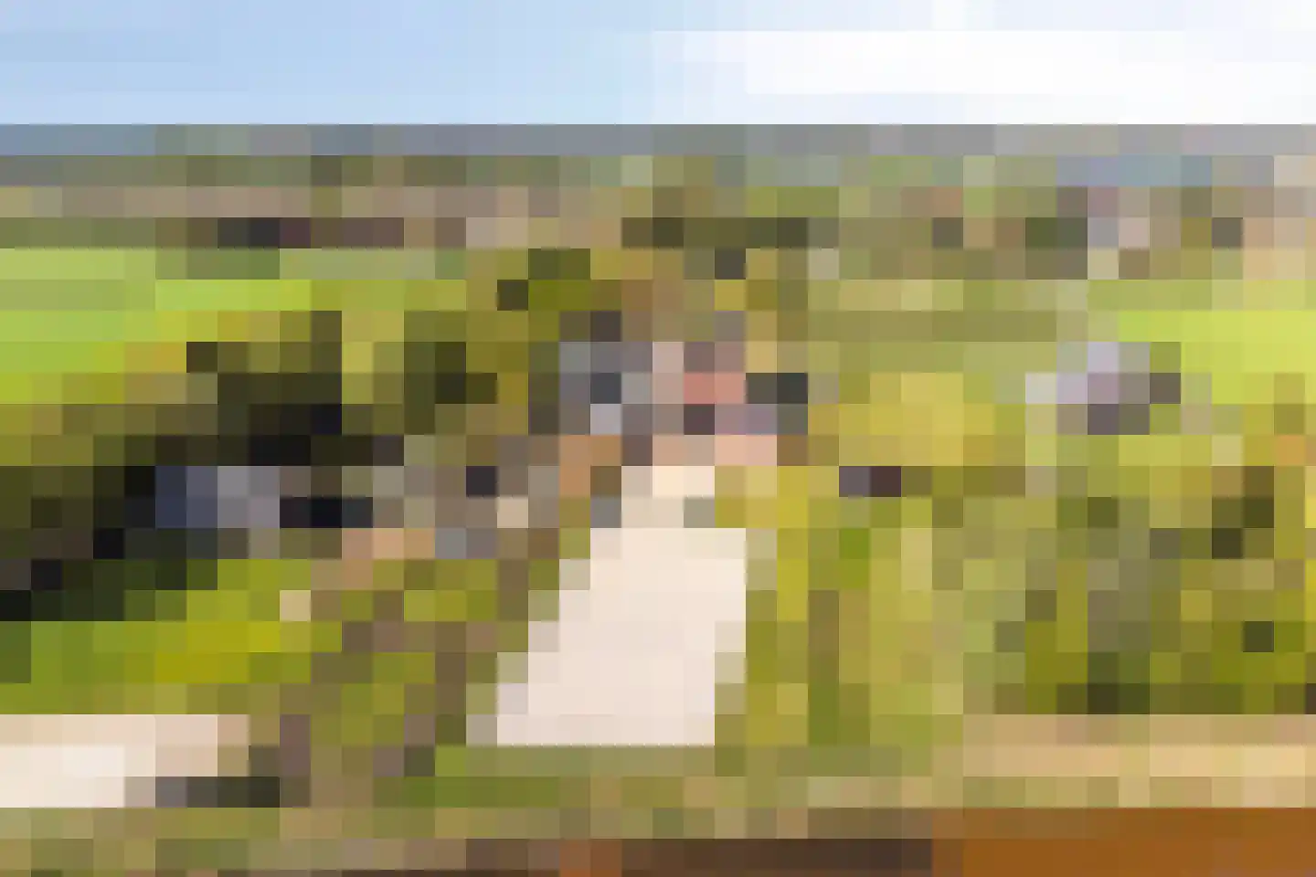 Oogstlaan 6 Oude Pekela thumbnail 61