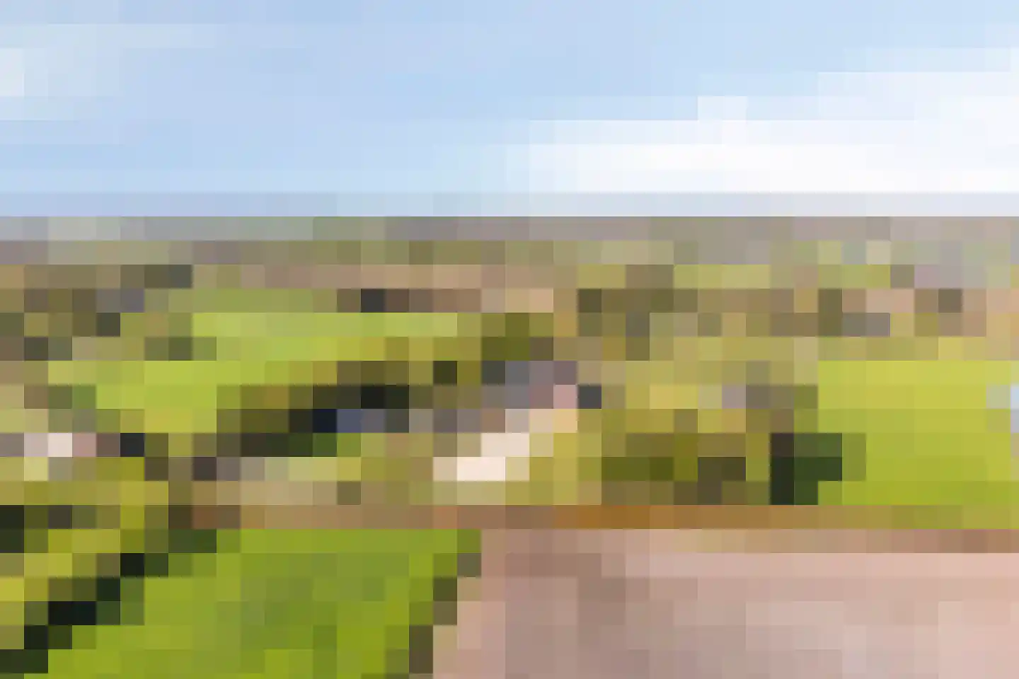 Oogstlaan 6 Oude Pekela thumbnail 62