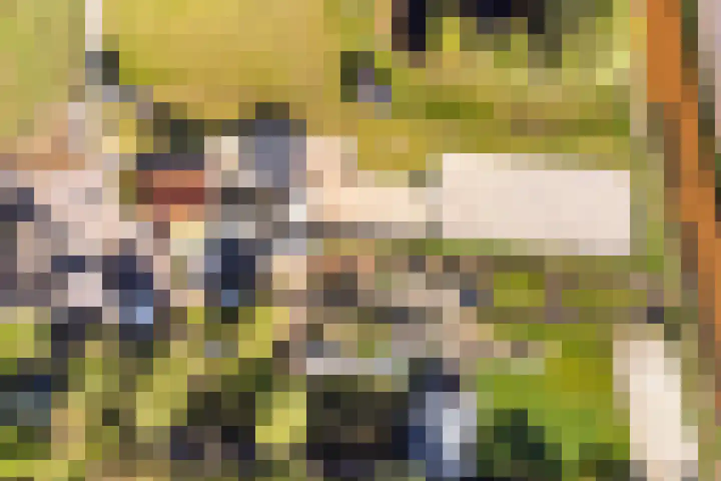 Oogstlaan 6 Oude Pekela thumbnail 64