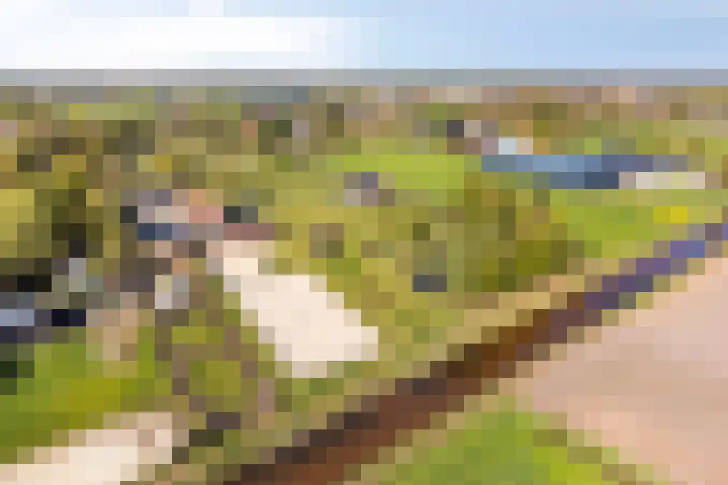 Oogstlaan 6 Oude Pekela thumbnail 65
