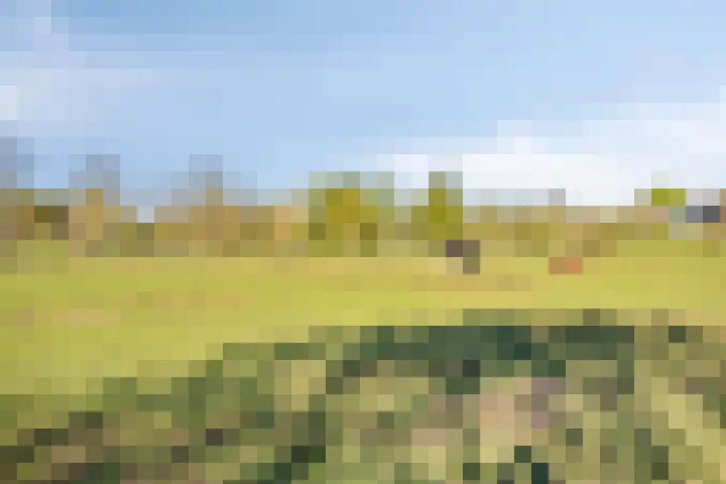 Oogstlaan 6 Oude Pekela thumbnail 67
