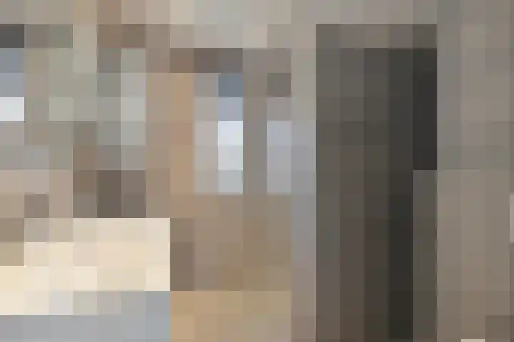 Oogstpad 10 Scherpenzeel thumbnail 13