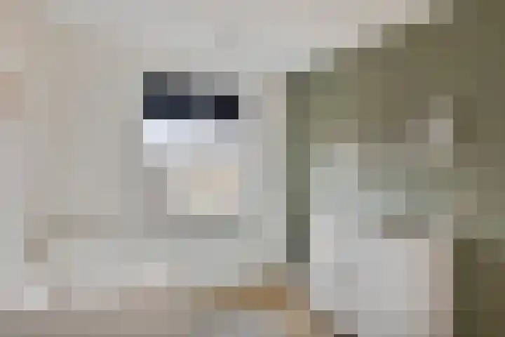 Oogstpad 10 Scherpenzeel thumbnail 15