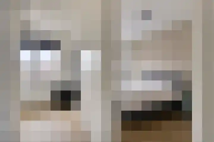 Oogstpad 10 Scherpenzeel thumbnail 16