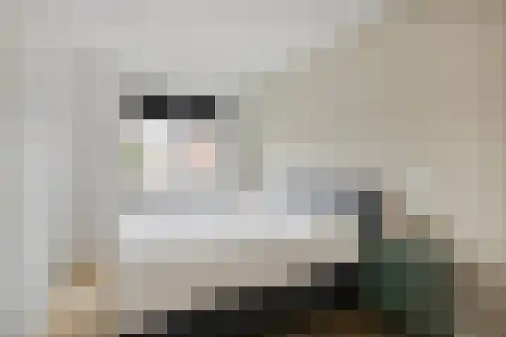 Oogstpad 10 Scherpenzeel thumbnail 17