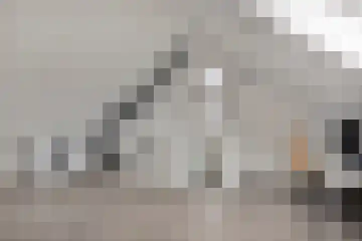 Oogstpad 10 Scherpenzeel thumbnail 20