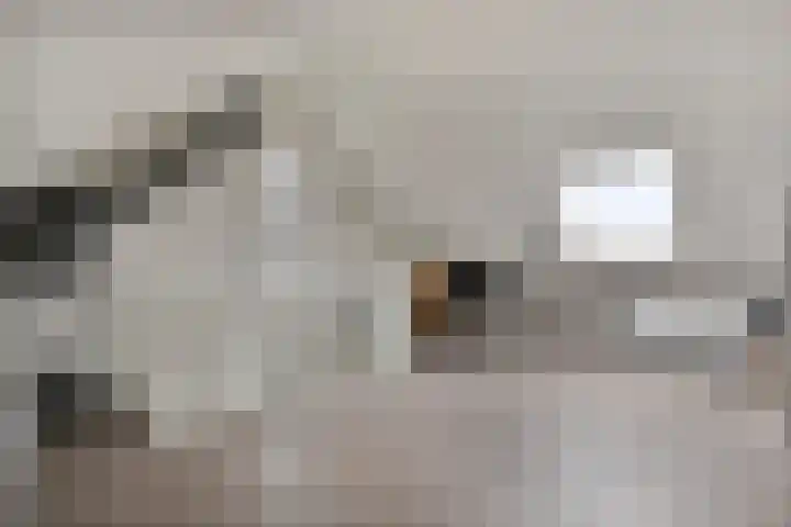 Oogstpad 10 Scherpenzeel thumbnail 21