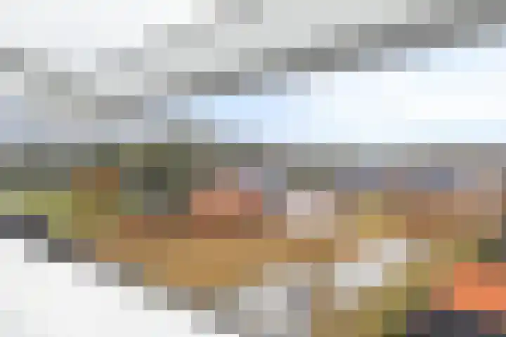 Oogstpad 10 Scherpenzeel thumbnail 22