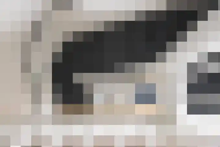Oogstpad 10 Scherpenzeel thumbnail 23