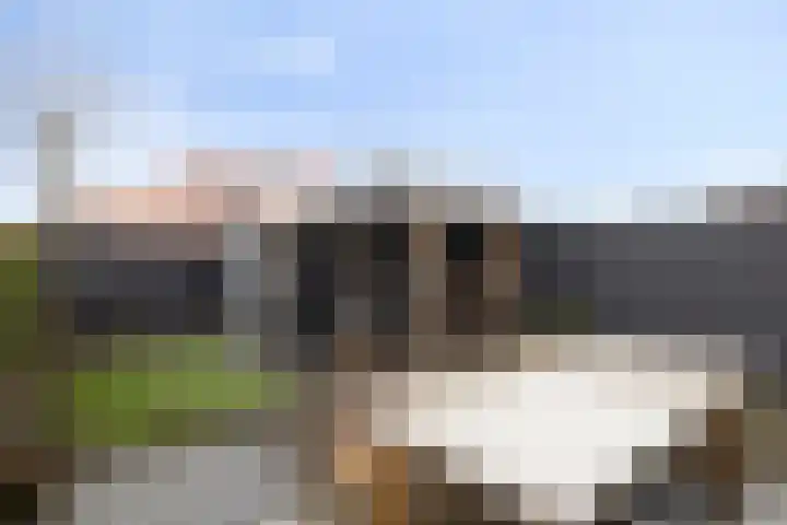 Oogstpad 10 Scherpenzeel thumbnail 24