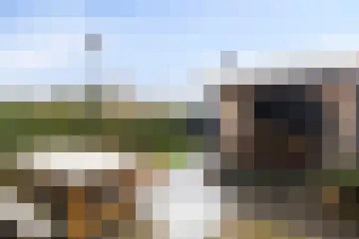 Oogstpad 10 Scherpenzeel thumbnail 25