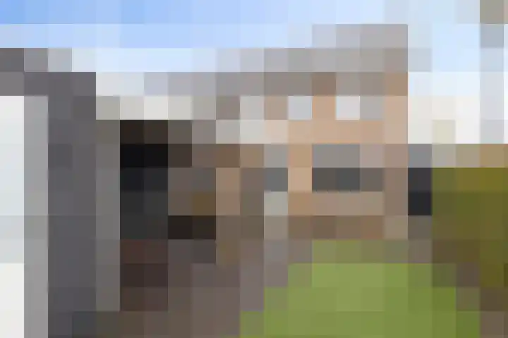 Oogstpad 10 Scherpenzeel thumbnail 26