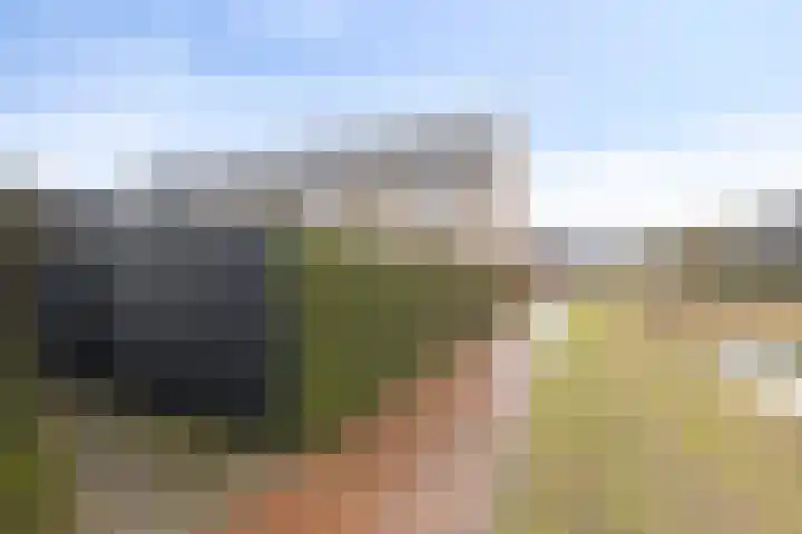 Oogstpad 10 Scherpenzeel thumbnail 28