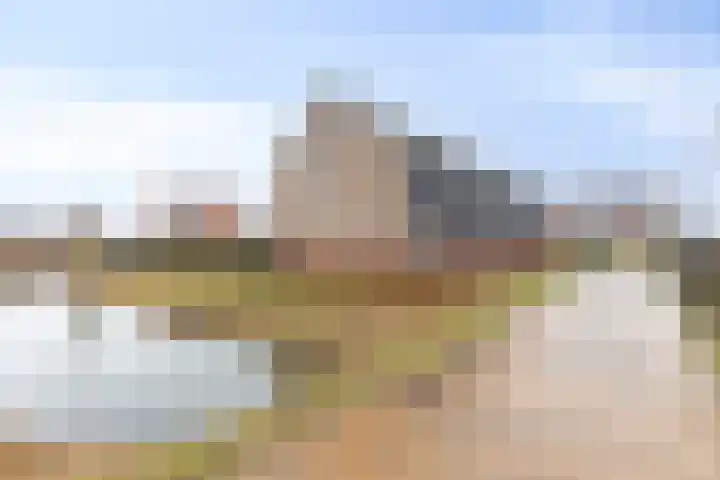 Oogstpad 10 Scherpenzeel thumbnail 29