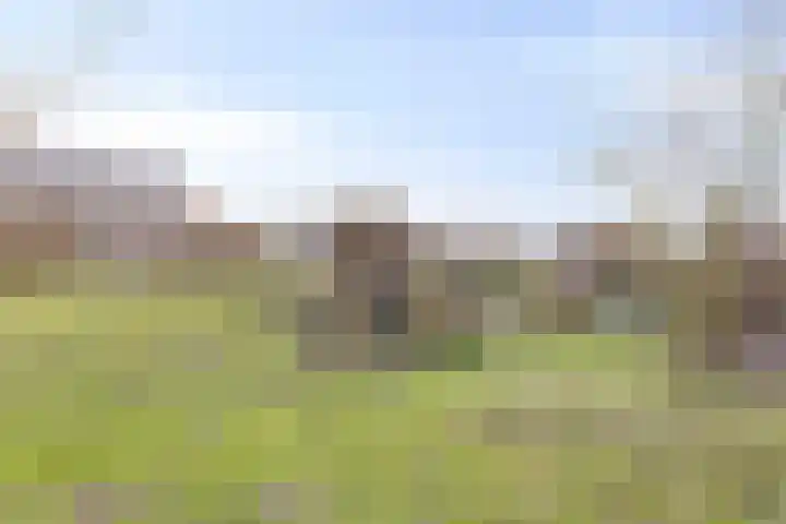Oogstpad 10 Scherpenzeel thumbnail 30