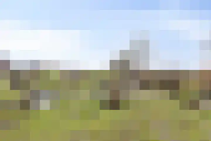 Oogstpad 10 Scherpenzeel thumbnail 31