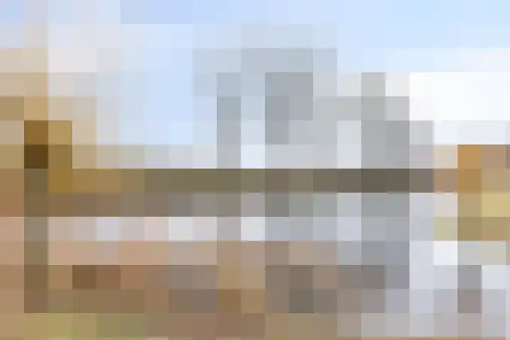 Oogstpad 10 Scherpenzeel thumbnail 32