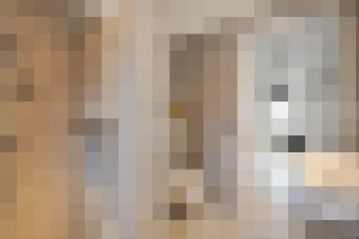 Oogstpad 10 Scherpenzeel thumbnail 4