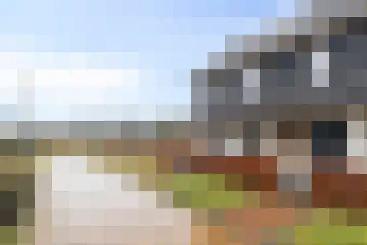 Oogstpad 10 Scherpenzeel thumbnail 5