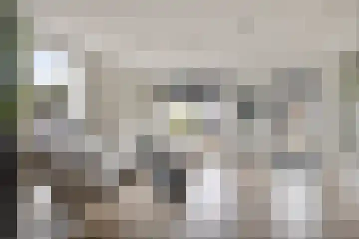 Oogstpad 10 Scherpenzeel thumbnail 7