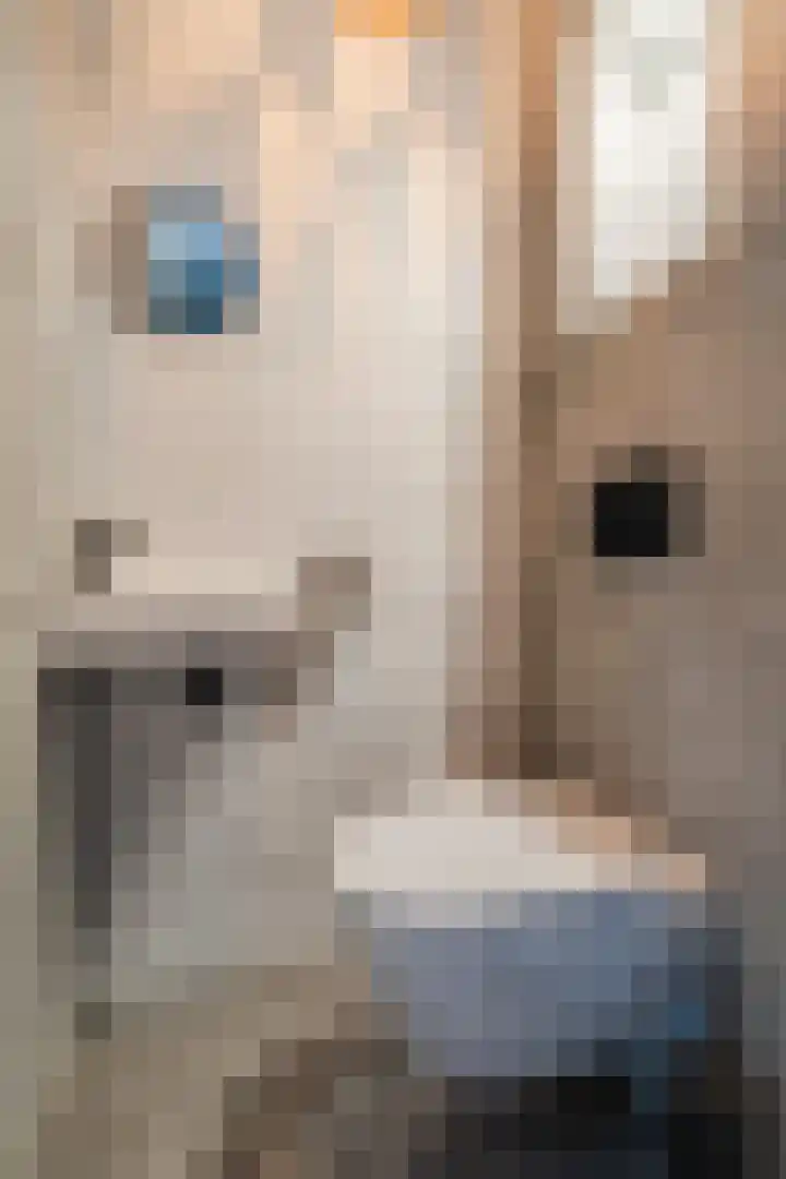 Oogstpad 4 Scherpenzeel thumbnail 17