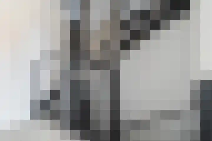 Oogstpad 4 Scherpenzeel thumbnail 26