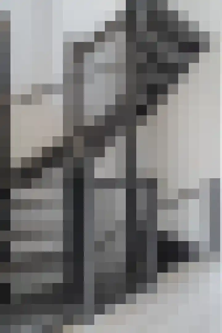 Oogstpad 4 Scherpenzeel thumbnail 27