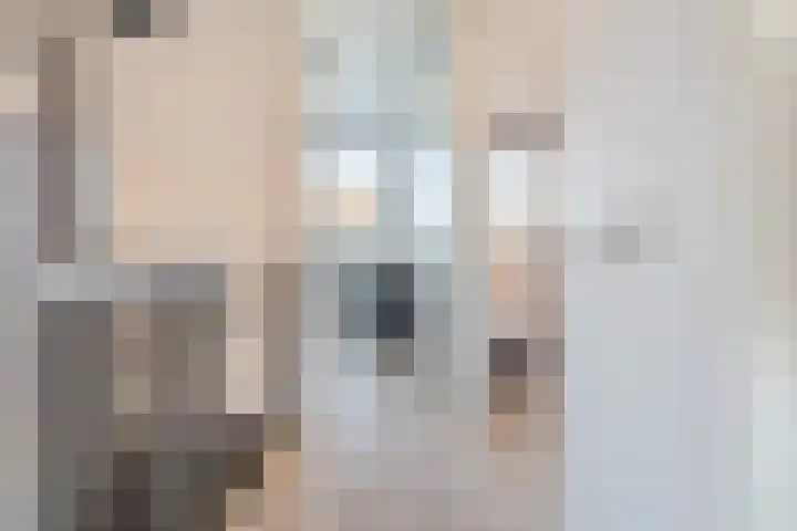 Oogstpad 4 Scherpenzeel thumbnail 29