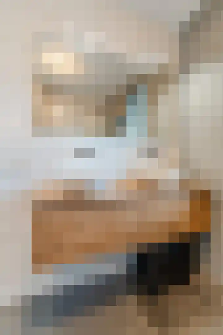 Oogstpad 4 Scherpenzeel thumbnail 32