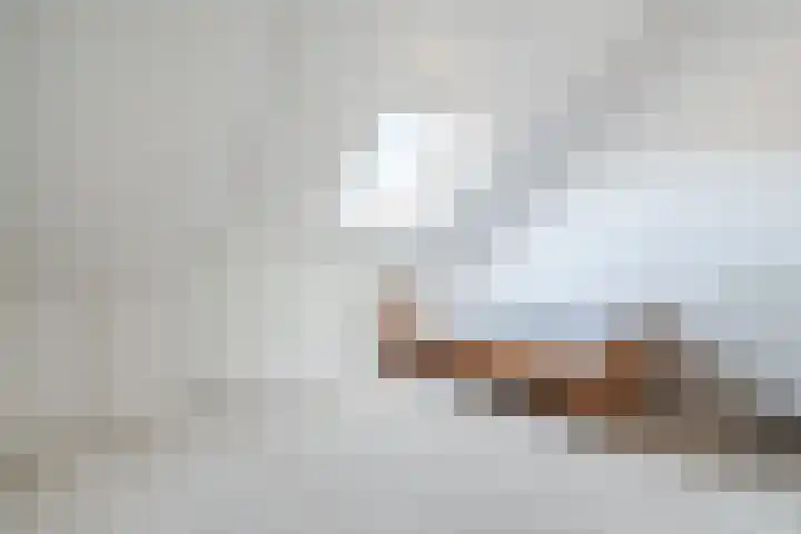 Oogstpad 4 Scherpenzeel thumbnail 33