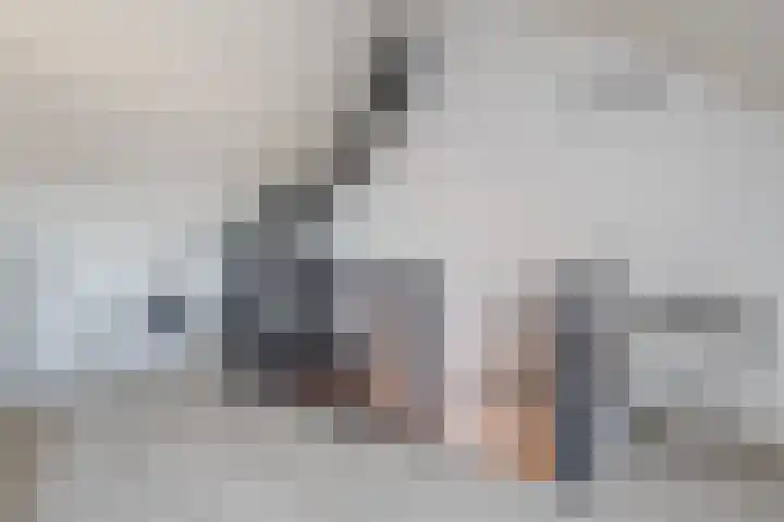 Oogstpad 4 Scherpenzeel thumbnail 35