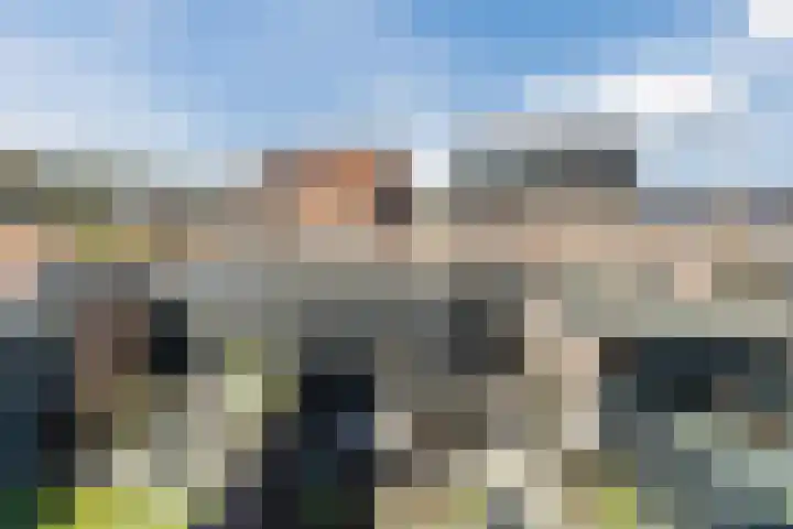 Oogstpad 4 Scherpenzeel thumbnail 37