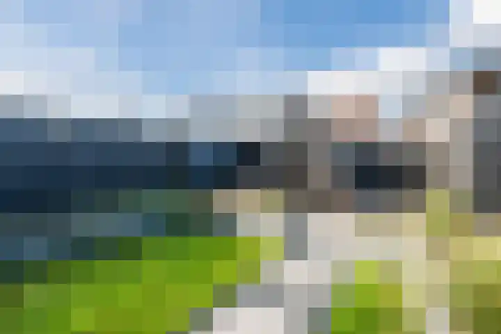 Oogstpad 4 Scherpenzeel thumbnail 38